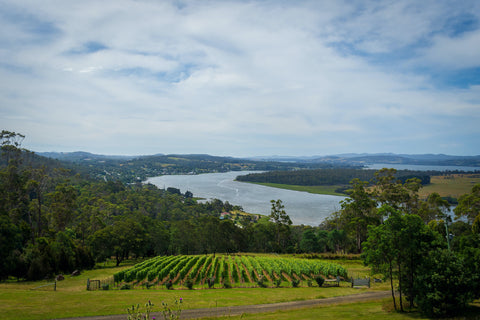 The region | Tamar Valley, Tasmania